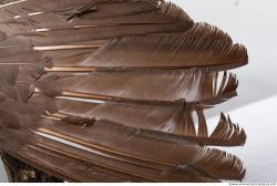 Photo Textures of Bird Feather